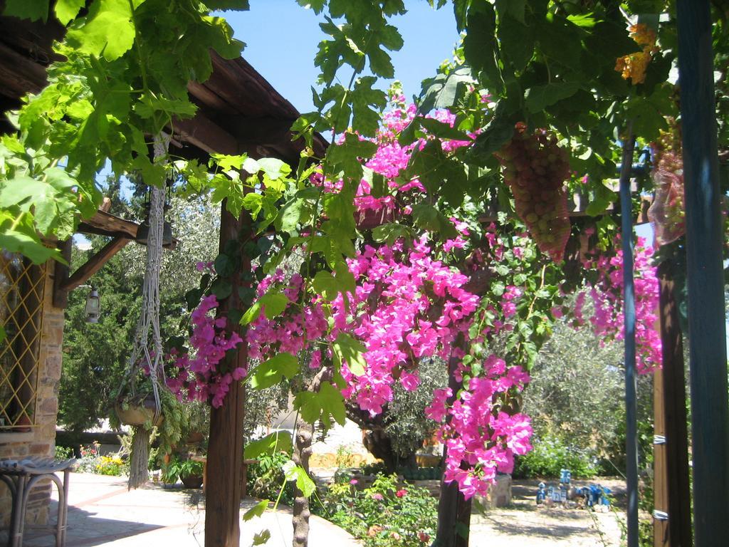 Ktima Ellopia Villa Kolymbia Buitenkant foto