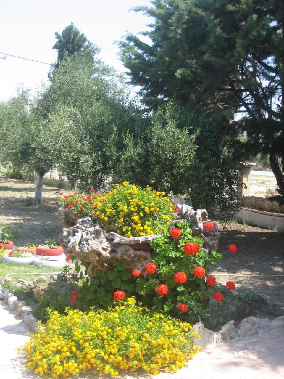 Ktima Ellopia Villa Kolymbia Buitenkant foto